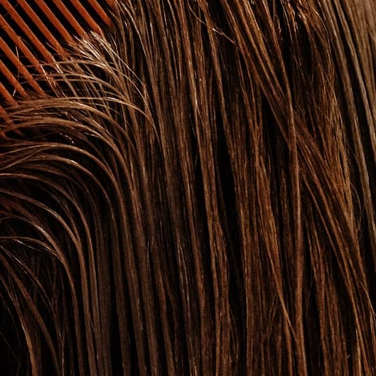 3 pack root touch up fall special at Jennifer Rose Hair Studio in Berkeley, CA