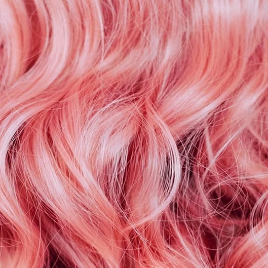 3 pack blowout fall special at Jennifer Rose Hair Studio in Berkeley, CA